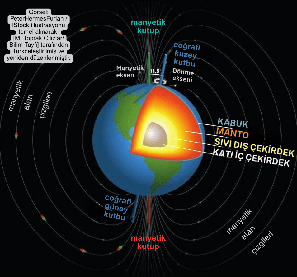 D&uuml;nya&rsquo;nın i&ccedil; katmanlarını ve manyetik alan &ccedil;izgilerini g&ouml;steren şema: kabuk, manto, sıvı dış &ccedil;ekirdek, katı i&ccedil; &ccedil;ekirdek ve manyetik kutuplar.